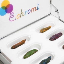 The eChromi Synthetic Biology project by James King and Daisy Ginsberg, in collaboration with Cambridge  University’s iGem team has been nominated for the 2011 Brit Insurance Designs of the Year award at the Design Museum, London.
