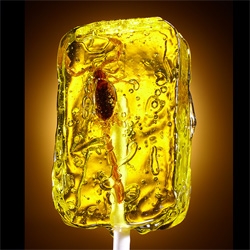 Lucas Zarebinski's photographs of "Lollipops" ~ with crickets, scorpions, and mealworms in them!