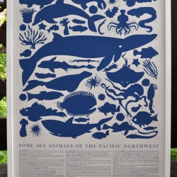 SOME SEA ANIMAL OF THE PACIFIC NORTHWEST - a print inspired by the marine life that is found in the Pacific Northwest. Including jellyfish, sea cucumbers, sea urchins, etc.