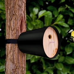'Peepshow home' bird house by Radius has a sophisticated type of fastening using a lashing strap around the tree that makes it easy and flexible to mount. the tree is also not damaged.