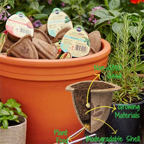 Miracle-Gro Gro-ables - interesting packaging for these all in one seed pods. Pop them in some soil and add water. 