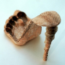 Jenny Dutton's serpent shoe