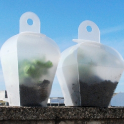 GREEN KIT by Bubble Design. Serravaso, a balcony greenhouse available in different sizes; it creates the best environment for plant growth, protected by cold, rain and hail and when the plants are grown, you can use it as a pot.