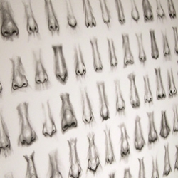 Limited edition print of 60 noses drawn from arrest photos by former NY forensic artist Shawn Feeney.