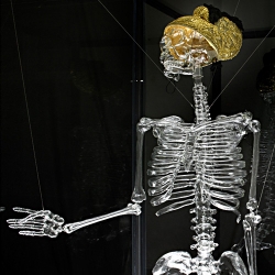 Glass Bone Skeletons by Melli Ink.