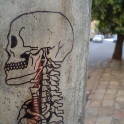 A gallery of anatomically themed street art from all over the world.