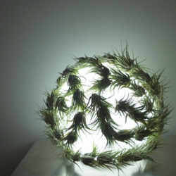 Current Lamp by Kara Bartelt. Tillandsia kolbii air plants on a white glass orb with CFL grow bulb.