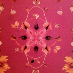 Jonathan Yeo's wallpaper for Soho House looks like a pretty print, but it's actually pretty saucy...