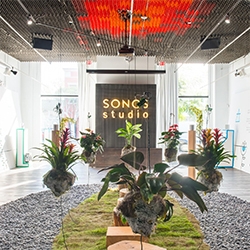 SONOS Studio LA's Sonic Garden installation by sound and environmental installation artist, Mileece. Plants act as instruments to create harmonic symphonies using bio-electrical signals wired to its leaves which respond to human touch. 
