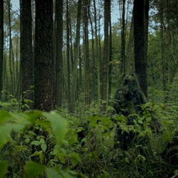 Stalker Humanoid by Renaissance Man - Do you see him? Amazing (music) video of dancers in mossy ghillie suits in the woods. Wow.