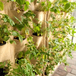 Strawberries in felt living wall pouches ~ along with herbs filling a whole tunnel of an entry way! Gorgeous look at Ortofabbrica in Milan Design Week's Zona Tortona!