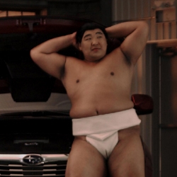 A humourous campaign featuring Sumo wrestlers in a water fight at a car wash kicked off the launch campaign for the 2009 Subaru Forester campaign.