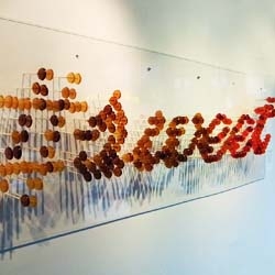 #Sweet - an installation by Gastronomista made with Root Liquor Lollipops.  The Maple Root with Sea Salt was my favorite! 