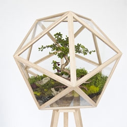 Terra is a 360 degree visibility terrarium from studio Fort Standard. It is mounted on a tripod, composed of wood joined by glass, and allows the observation of plants inside the terrarium from every angle.