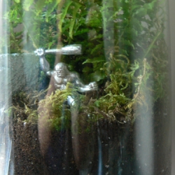 Terrariums available via The Shiny Squirrel - Caveman included... 