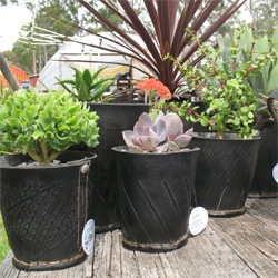 uBeauty Pots and Plants recycled tire pots!