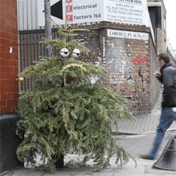 D*Face brings christmas trees to life... with eyebaubles. 