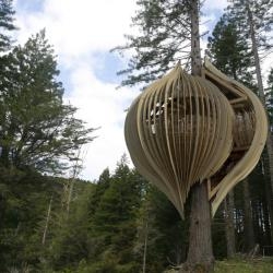 There is a restaurant being built in a redwood tree in New Zealand as a marketing promotion for the Yellow Pages.