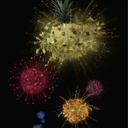 A true explosion of taste in this advertising for a fruit juice brand. Made by  DDB, London.