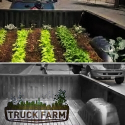 Truck-Farm (winner of Nau's annual Grant for Change) is a documentary / experimental take on urban agriculture.