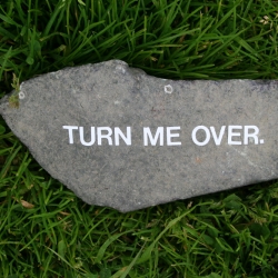 Several rocks, like the one pictured above, were set out in popular San Francisco locations. The hope was to reward people's curiosity by bringing a little joy to their day and a smile to their face.  
