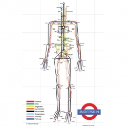 Underskin, a human subway map, by Sam Loman.