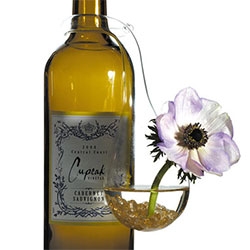 Clara Hanging Flower Vase... perfect addition to take that wine bottle gift to the next level! Made of glass by Hofland.
