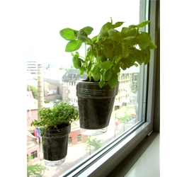It is a very nice solution for a small kitchen where real estate is high in demand. The herb looks like it's growing out of the window!