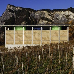 In Gantenbein Winery project, The architects had created designs and patterns of a precision that simply could not be achieved by hand. A wall of an oversized basket filled with grapes when seen from afar.